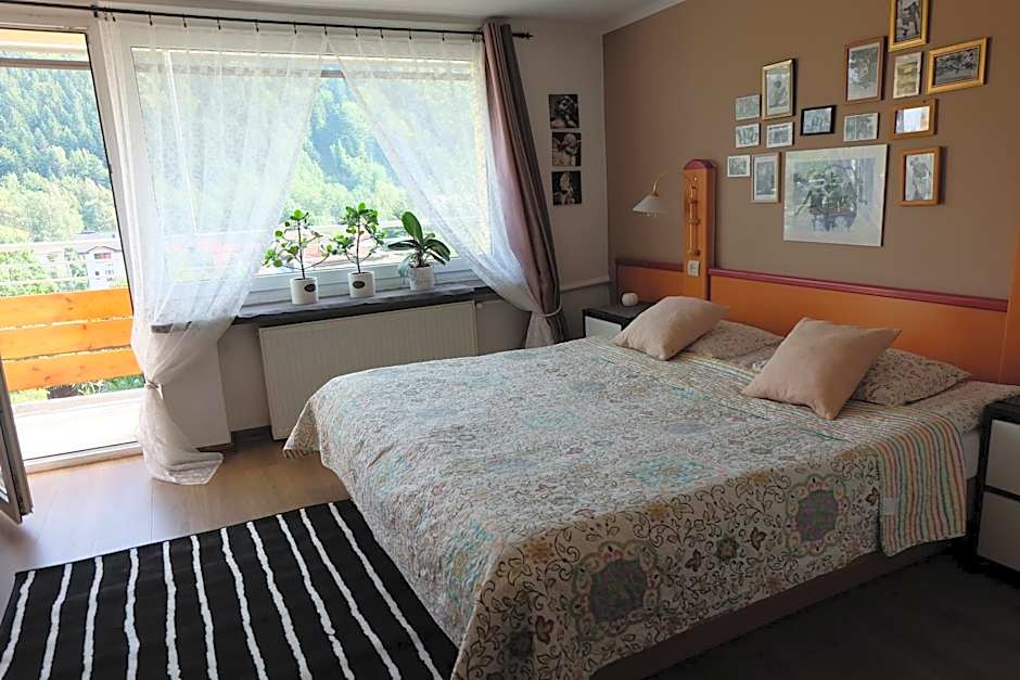 Willa Pod Aniołem - Pokoje Gościnne & Apartamenty z widokiem na góry