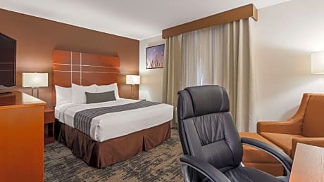 King Room - Pet-Friendly