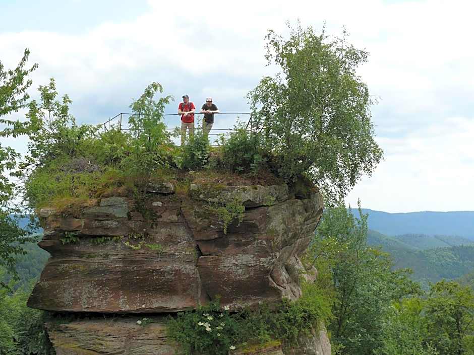 Blick zum Maimont
