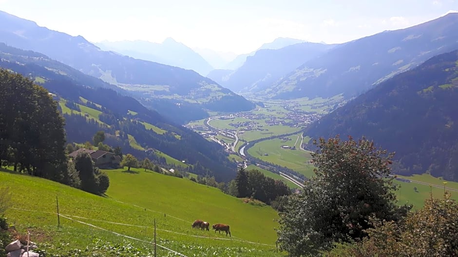 Nesterhof