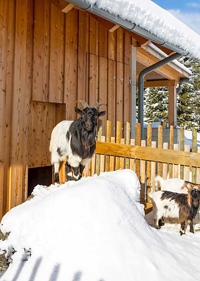 JUFA Hotel Gitschtal