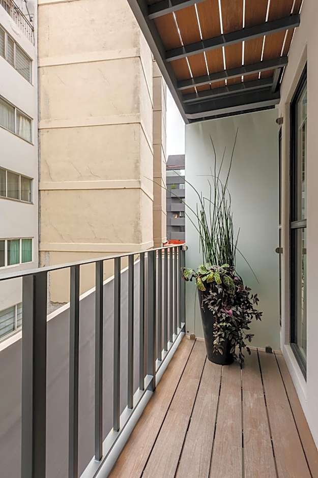 Choapan 28 - Lux Apartments in Condesa