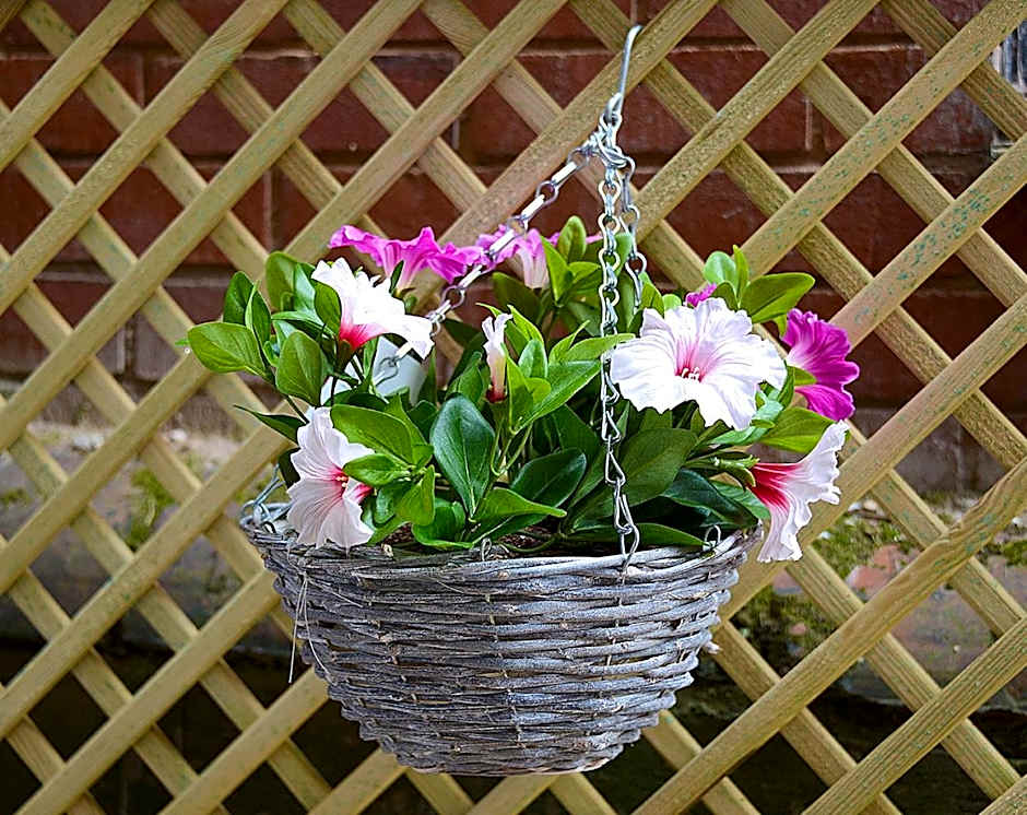 The Winter Garden Suites