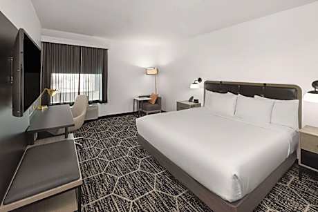 1 King Bed Non-Smoking