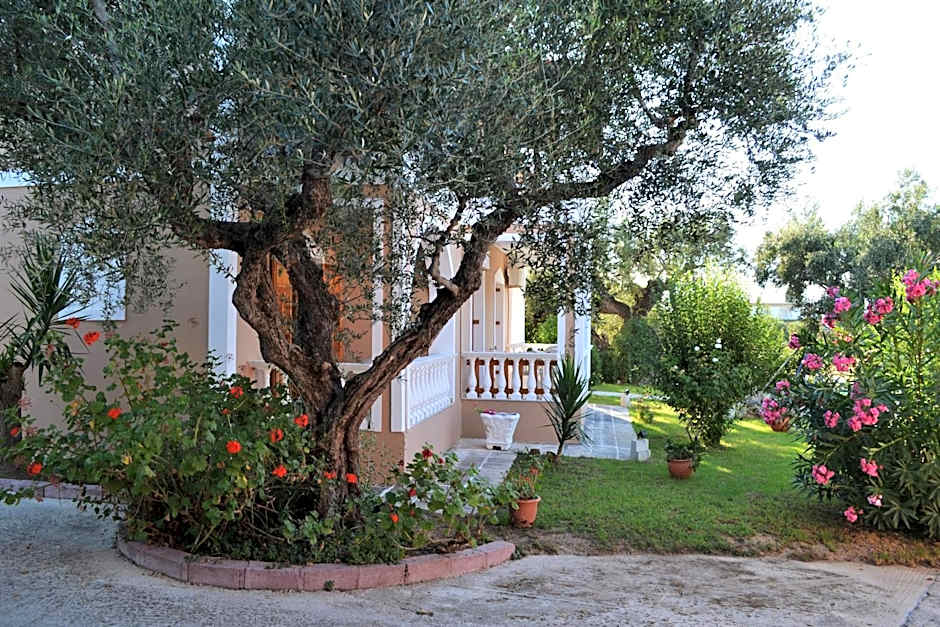 Pansion Mary Studios