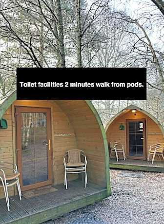 Pine Marten Bar Glenmore Pods