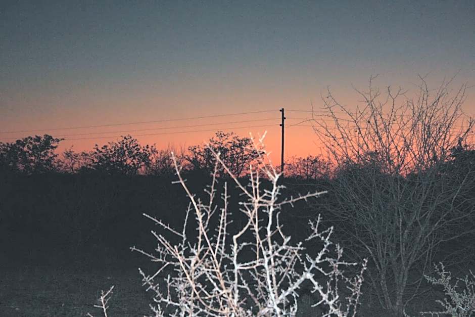 Normann Safari Bush Lodge