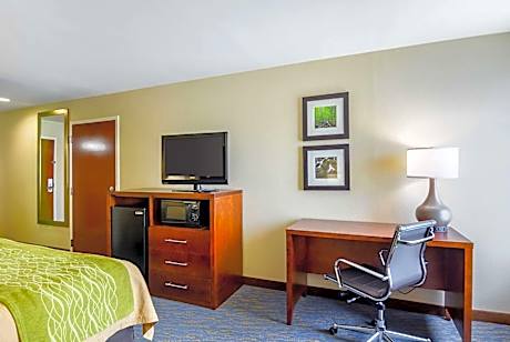 1 King Bed, Nonsmoking, Accessible