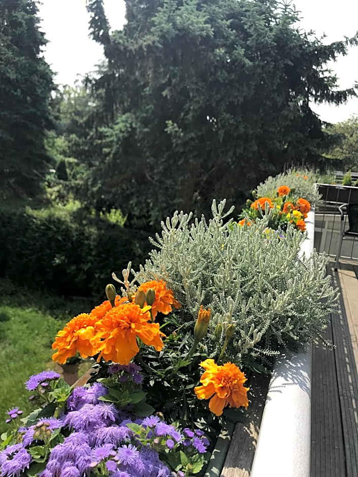 Apartmenthaus Sonnen