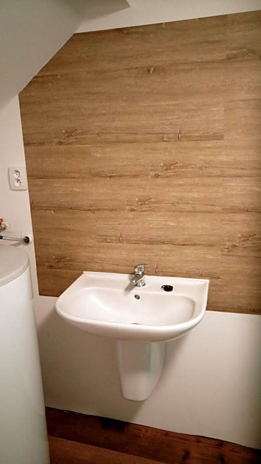 Penzion Ostrov u Stribra 13