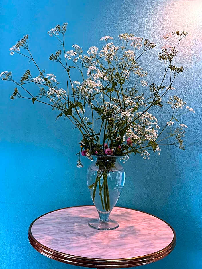 Hotel Paris Vesinet-LogisHotels et Domaine Evenementiel