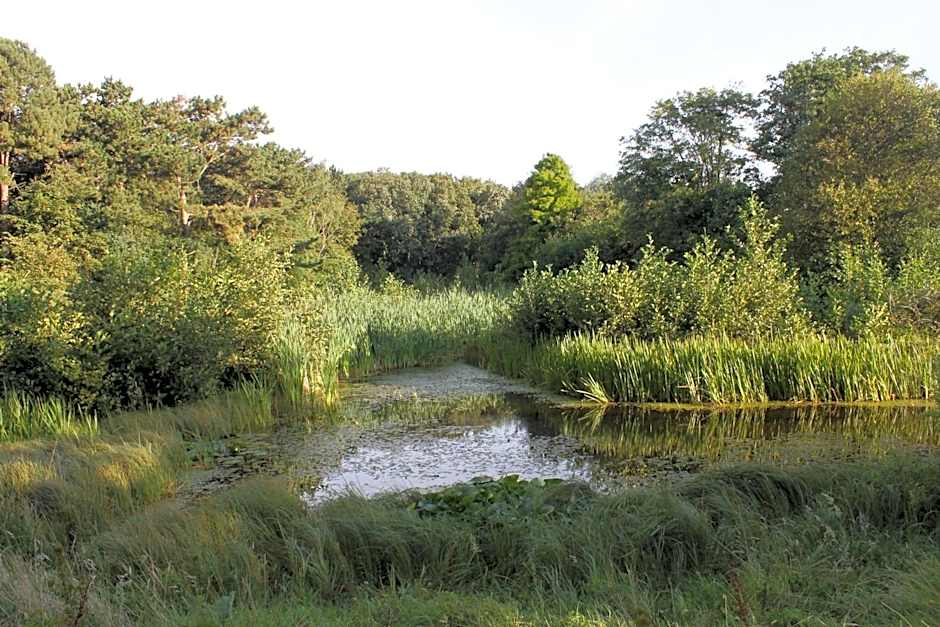 Hotel Studio Bosch Duin Strand