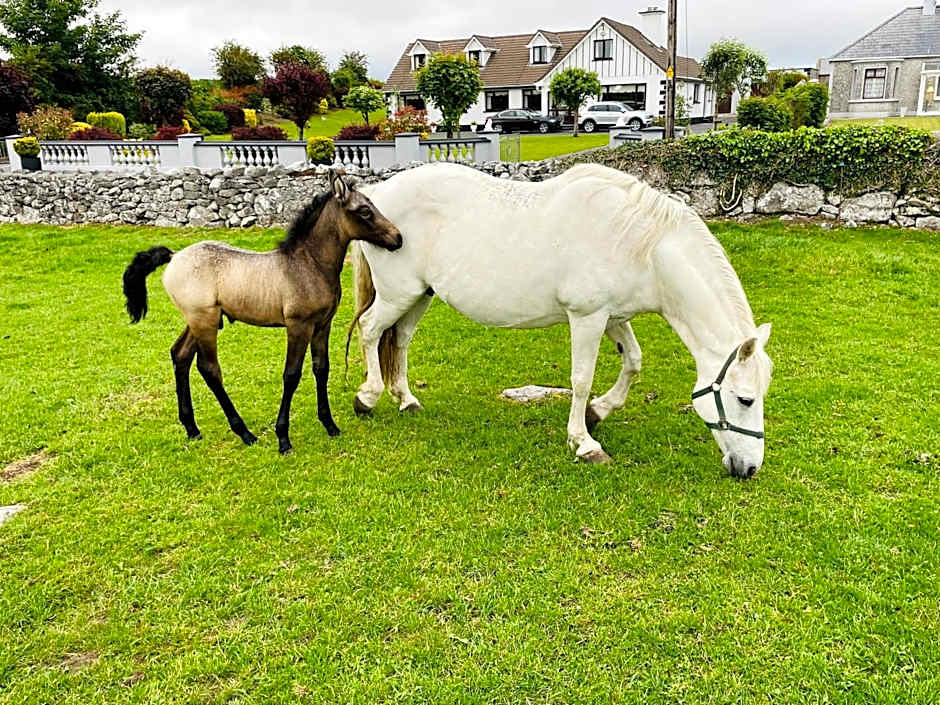 Cedar Lodge Self Catering Accommodation H91 CF9D