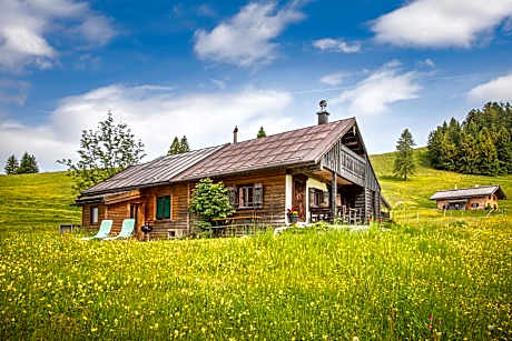 Schnaitstadl-Alm