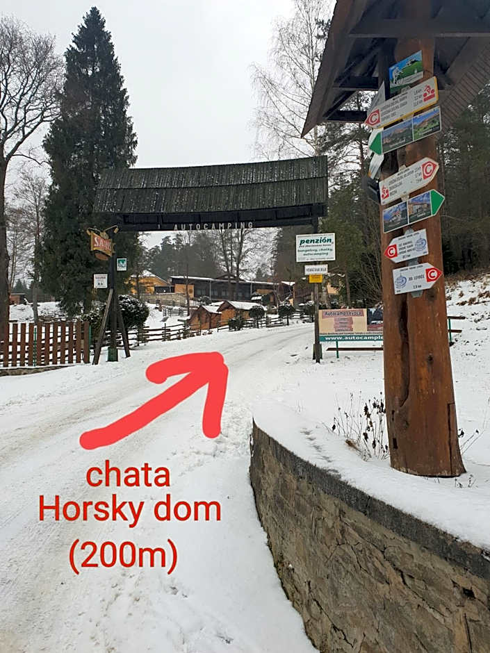 Horsky dom