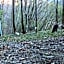 Appartamento La Casa nel Bosco