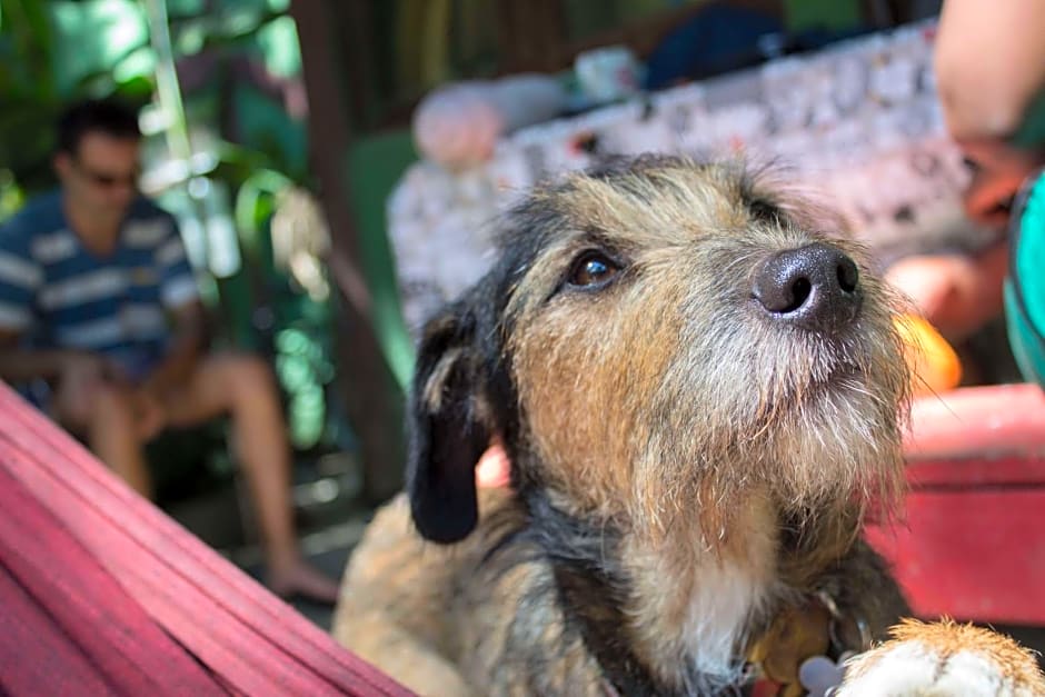 Hostel e Camping Rio das Pedras