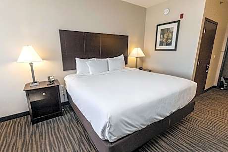 King Room with Roll-In Shower - Disability Access