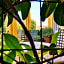 Hotel Annalena