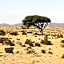 Auberge Aain Nakhla