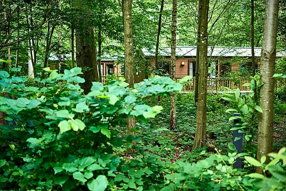 Disney Davy Crockett Ranch