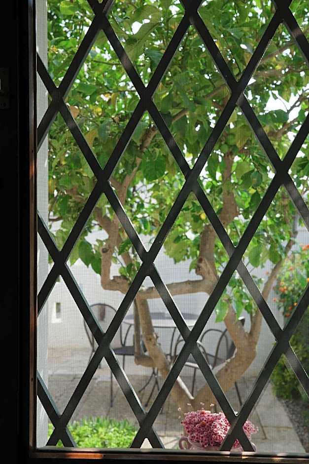 L'Ulivo Bed and Breakfast