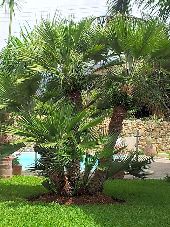 Villa Manzella piscina privata