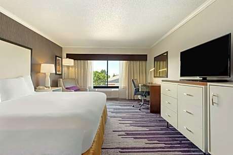 1 King Bed With Fridge - Microwave