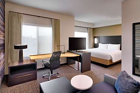 Studio King, Studio, 1 King, Sofa bed (Mobility &amp; Hearing Accessible w/ Roll-in Shower)