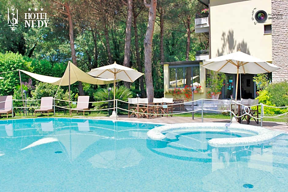 Hotel Nedy