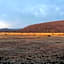 Lindani Game and Lodges