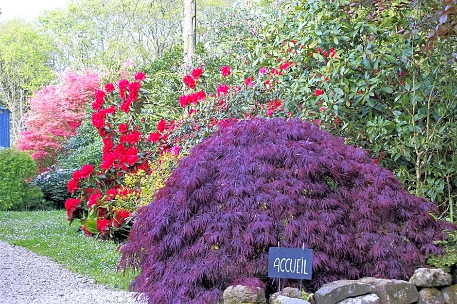 La Canopée des Pins