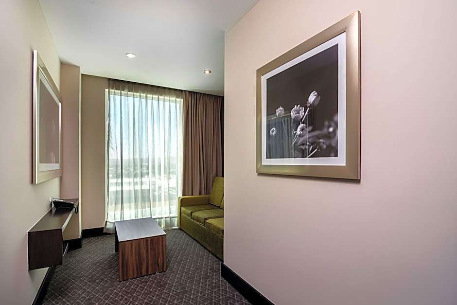 Hilton Garden Inn Aguascalientes