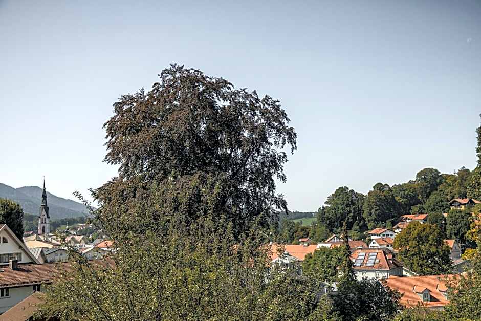 Suiten Zantl
