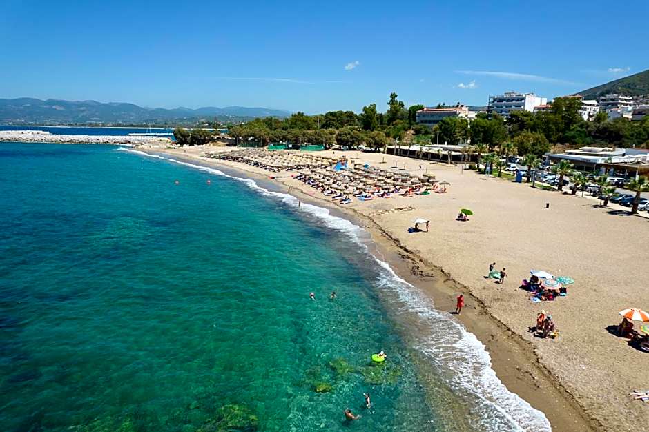 Elegant Beach Hotel