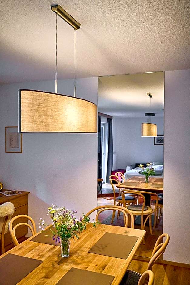 Apartments Hohenberger Mallnitz - Tauernbad und Sauna im Winter inklusive!