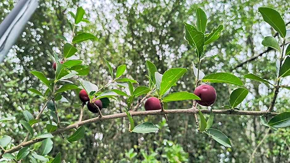 Pousada Recanto do Sossego