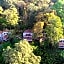 The Tall Trees Munnar