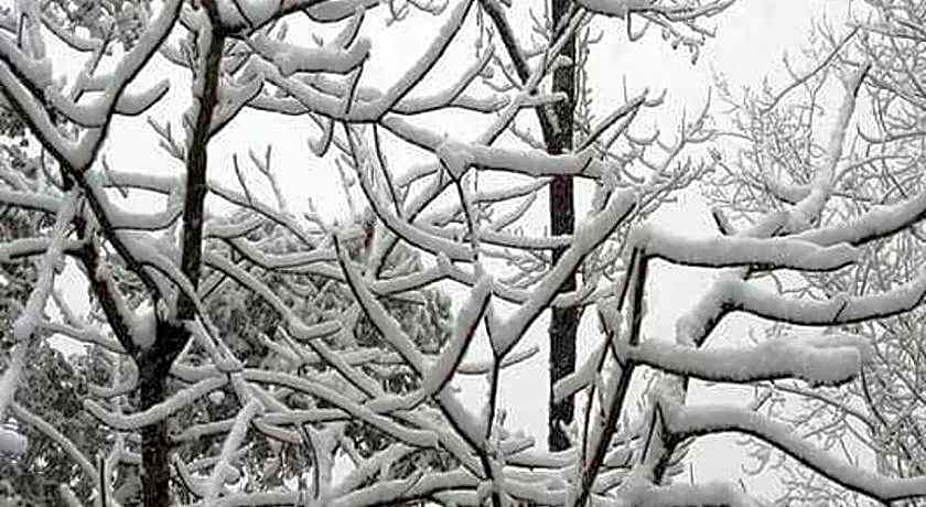 Hotel Devlok Primal Mussoorie