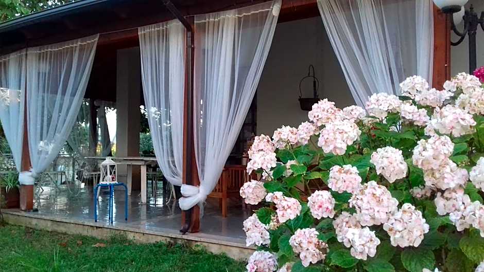 Villa Carol Appartamento e B&B
