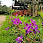 Chiang Dao Reset