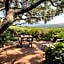 Domus Olivarum - Costa Smeralda 6 guest, 3 room, 2 bathroom, 2 parking Wifi