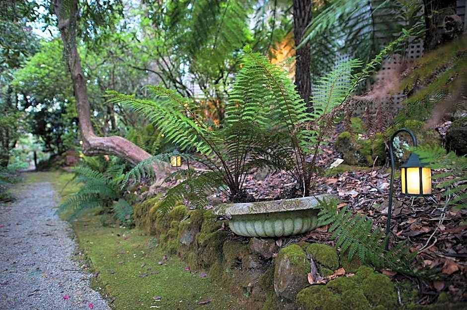 Linden Gardens Rainforest Retreat