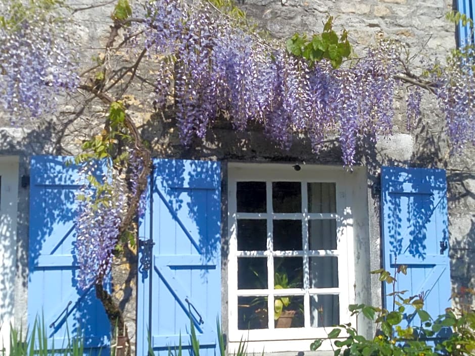 Chat Noir Gite et Chambre D'Hotes