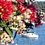 Seaport Village Holiday Accommodation