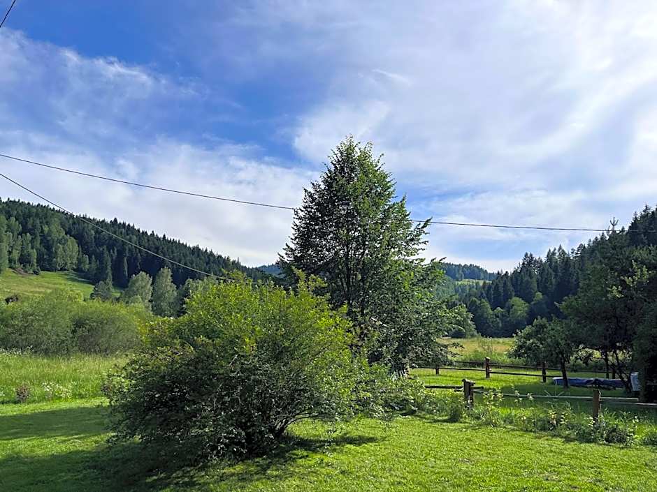 Drewniany Domek BB Nad Rzeką