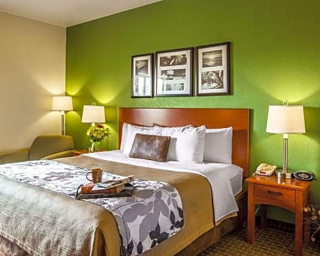 1 King Bed, Nonsmoking