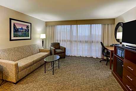 Superior King Suite with Sofa Bed - High Floor