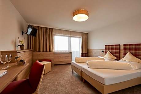 Deluxe Double or Twin Room with Mountain View