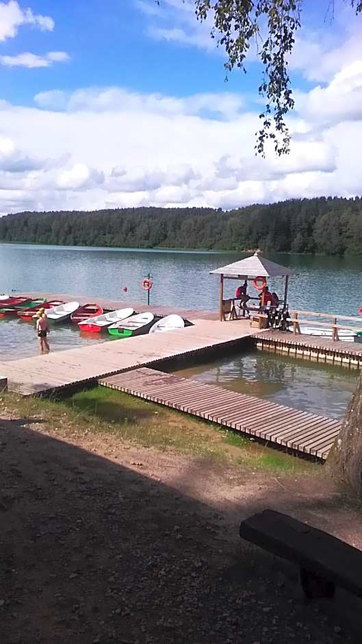 Ginto svetingi namai